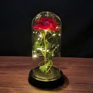 Červená růže v proskleném válci s jemnými LED světýlky, umístěná na dřevěném povrchu, která připomíná magickou dekoraci inspirovanou pohádkou Kráska a zvíře.