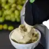 Zmrzlovač vyrábějící čerstvou zmrzlinu do malé bílé misky, v pozadí rozmazané zelené grepy nebo olivy.